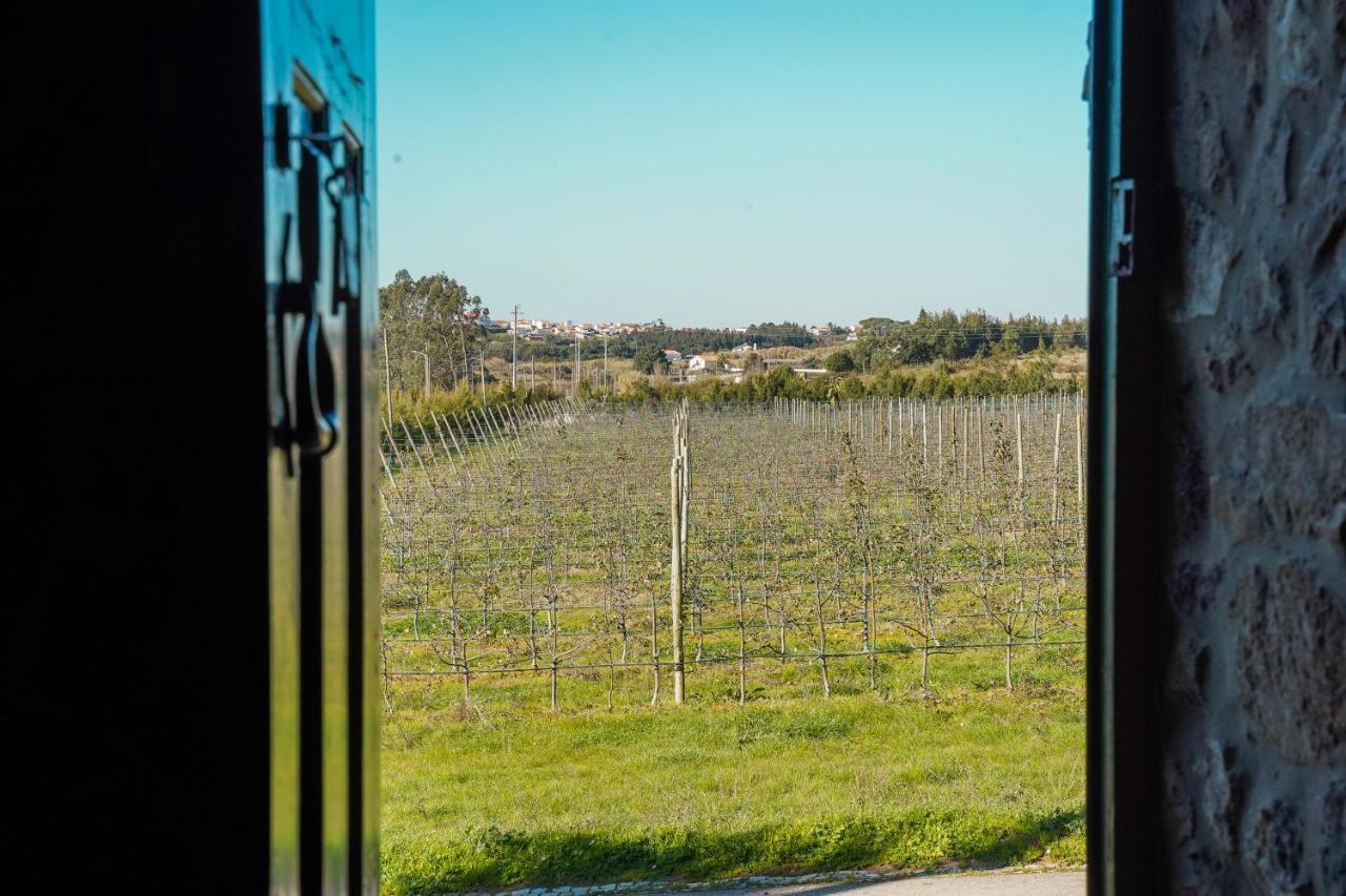Casa Rustica, Perto Do Castelo De Obidos Villa ภายนอก รูปภาพ